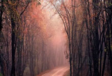 黑白直播在线观看-黑马传奇！格鲁吉亚女篮三连胜横扫欧陆，高加索玫瑰绽放惊世界