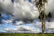 黑白直播nba-蒙特雷全力冲击冠军，关键球员备战状态受关注