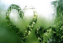 黑白直播nba-蒙特雷全力冲击冠军，关键球员备战状态受关注