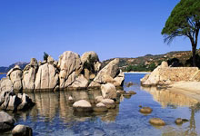 黑白直播免费体育直播-曼联新援首秀引期待，世俱杯表现备受关注