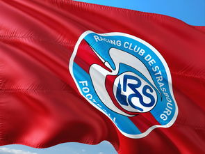 黑白直播nba在线观看-帕尔梅拉斯主帅强调团队配合，迎战欧洲劲旅