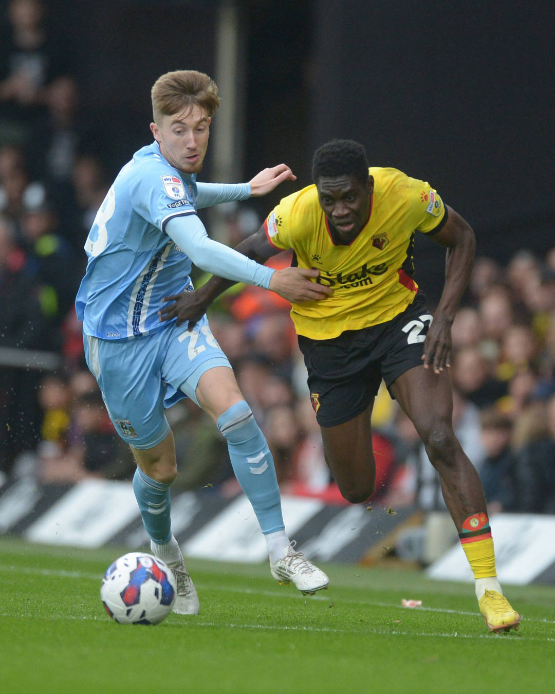 黑白直播免费体育直播-西汉姆联主场逼平沃特福德，球员们雀跃庆贺的简单介绍