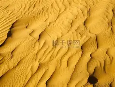 黑白直播在线观看-沙尔克球员表现出色，连续取得胜利的简单介绍