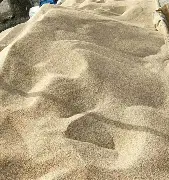 沙尔克球员表现出色,连续取得胜利的简单介绍 沙尔克球员表现出色,连续取得胜利的简单介绍