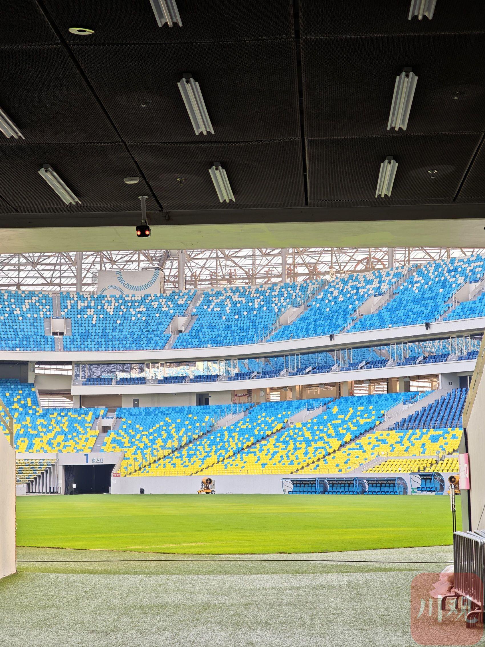 令人震惊的足球赛场戏剧发生的简单介绍