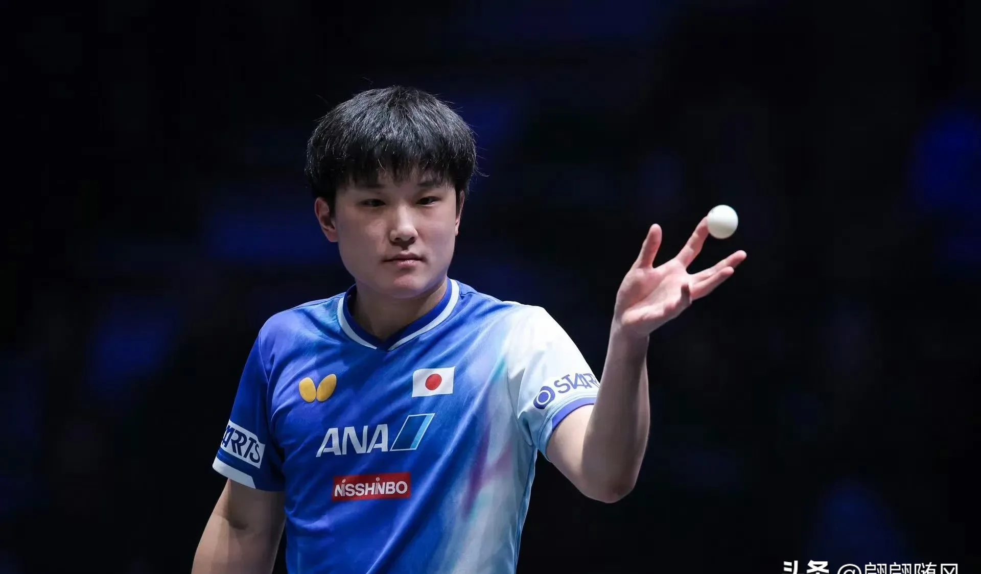 韩国乒乓球队轻取法国乒乓球队,张本智和关键制胜的简单介绍 韩国乒乓球队轻取法国乒乓球队,张本智和关键制胜的简单介绍