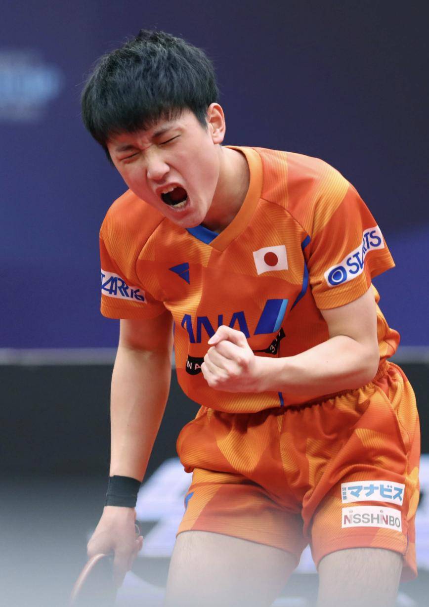 奥地利队绝杀日本队,张本智和高光表现 奥地利队绝杀日本队,张本智和高光表现