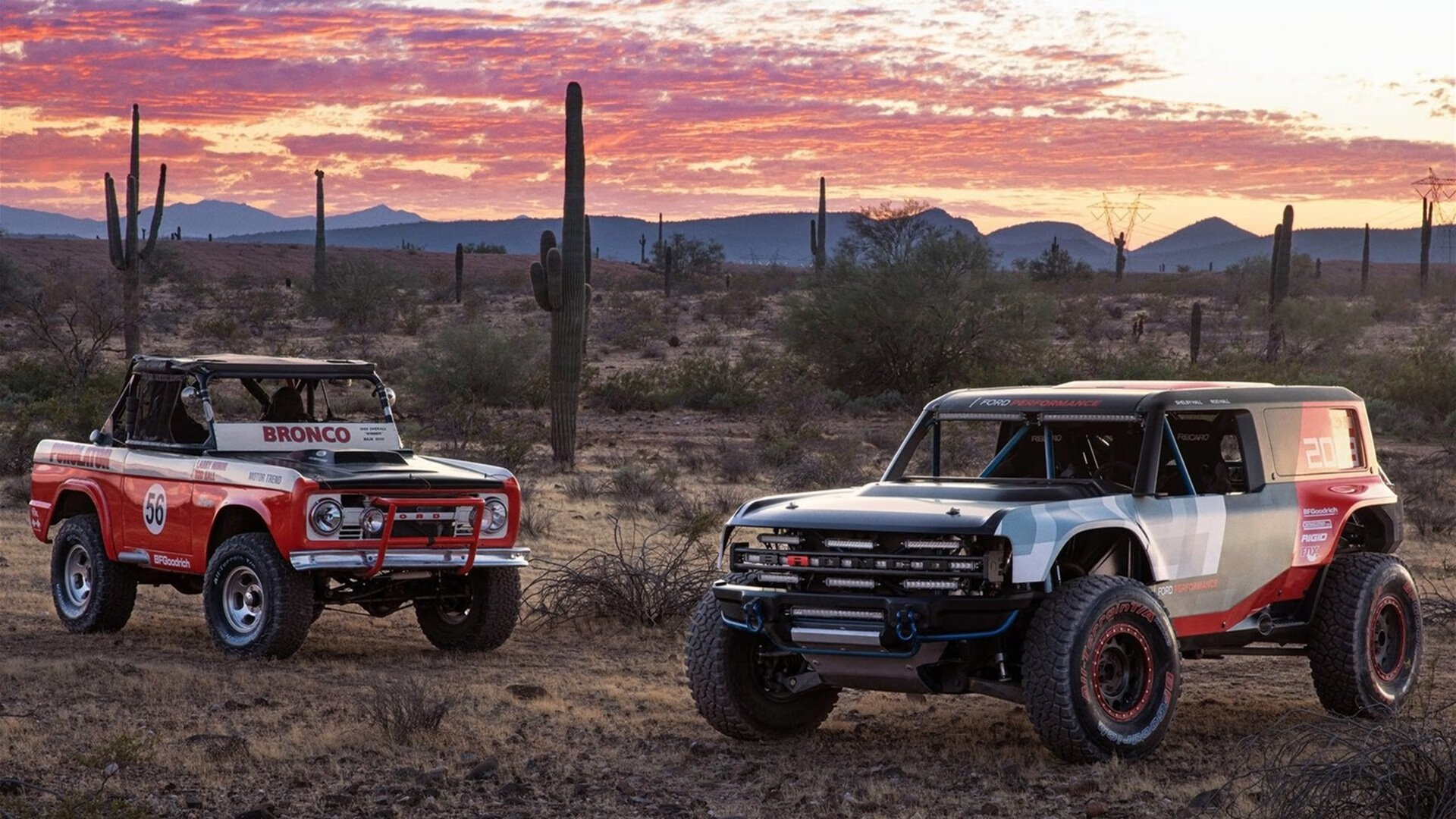 锁链与利刃,阿什拉夫的封神之夜与伊拉克的钢铁防线