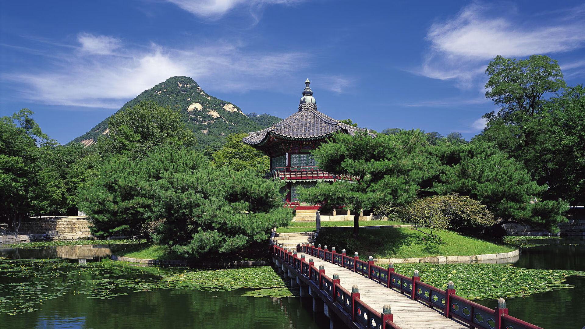 从奇迹之城到征服之地,当上海队跨过76人的那一刻,篮球世界看见了东方