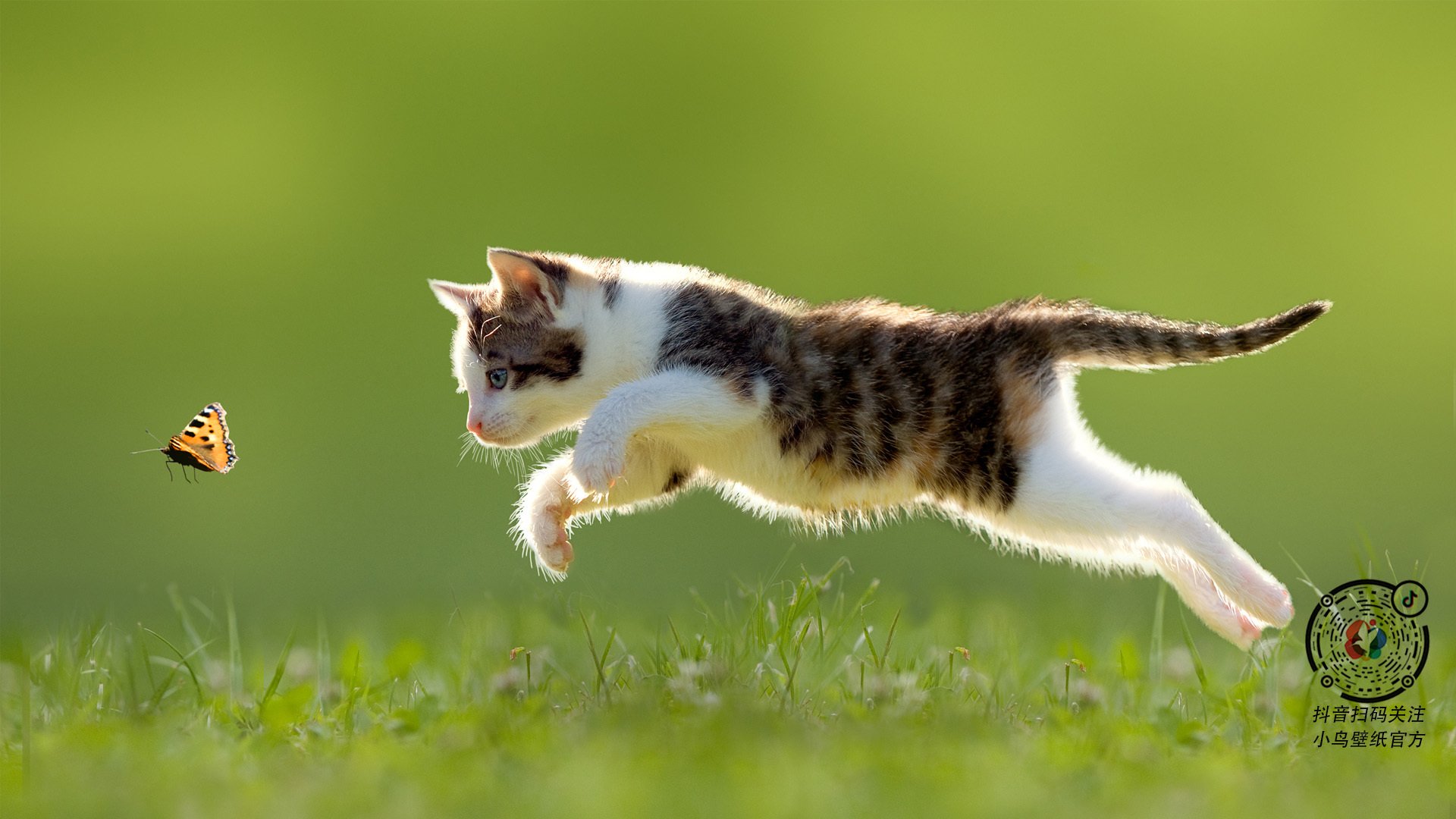 东契奇只手遮天,山西队团队碾压,一场个人英雄与集体力量的碰撞