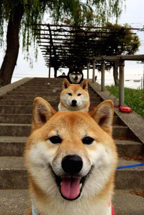 黑白直播在线观看-阿圭罗，孤独救世主与勒沃库森铁壁下的乌拉圭悲歌