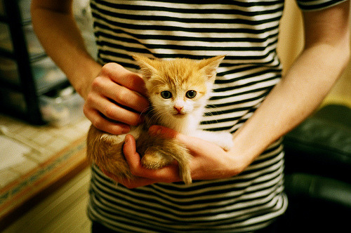 黑白直播nba-F1上海街道赛焦点战，火箭车队最后时刻逆转击败上海队