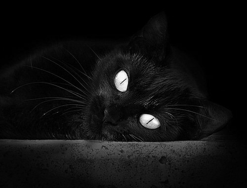 黑白直播在线观看-亚洲风暴席卷欧洲之巅，欧冠决赛韩国惊天逆转乌克兰