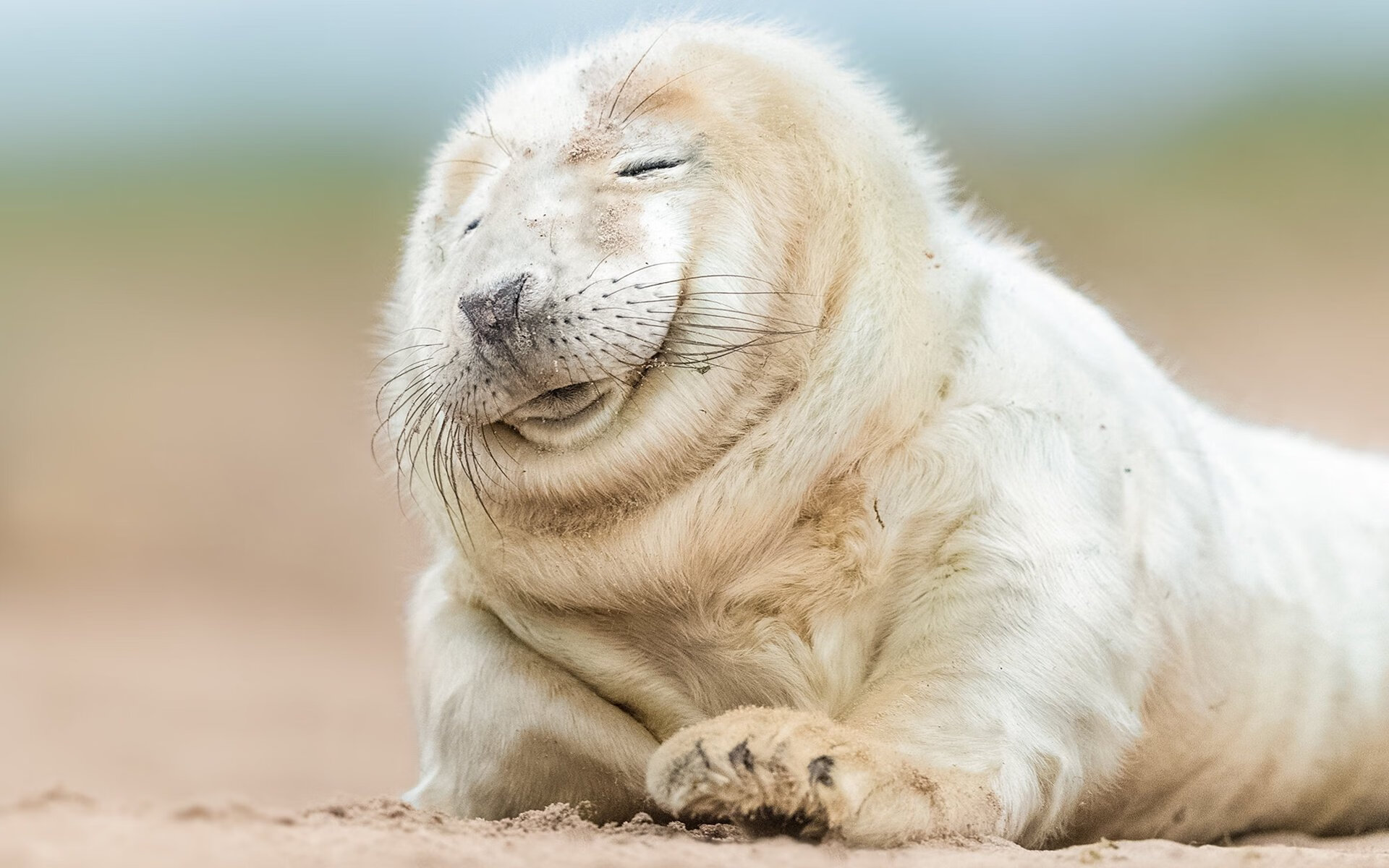 绿茵节奏大师,从奥地利整体协奏到姆巴佩个人独奏