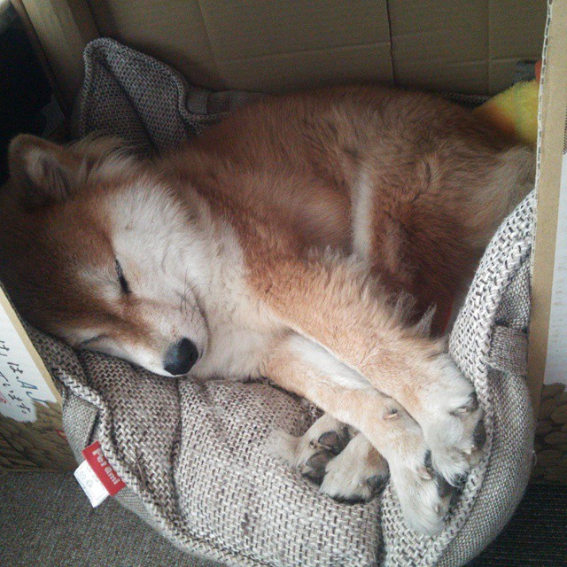 黑白直播在线观看nba-恩佐以冰刃劈开纪录，塞内加尔用绝杀为非洲足球加冕