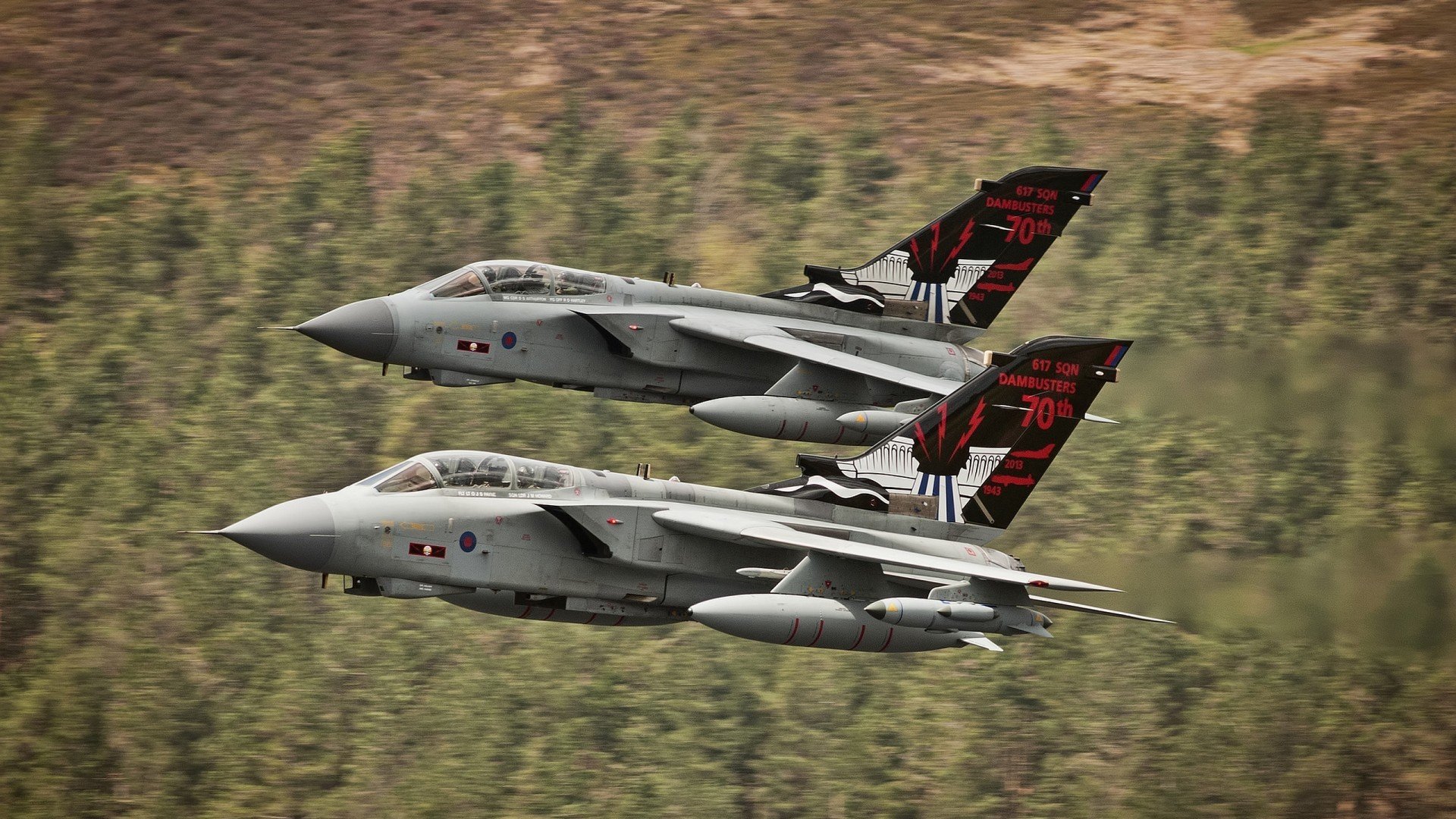 暗夜猎手,灰熊用铁血战术冰封太阳,小贾伦化身关键先生