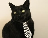 东决关键战之夜,范弗利特冠军级表现铸就传奇