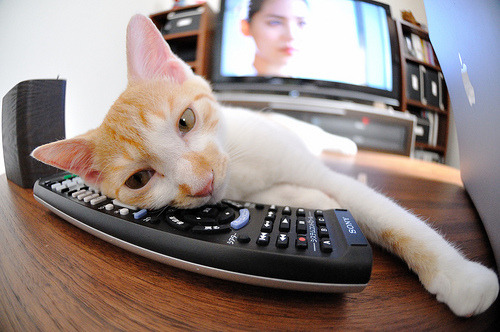 黑白直播网-绿茵场上的双重奏，意甲焦点战白热化，几内亚爆冷力克韩国