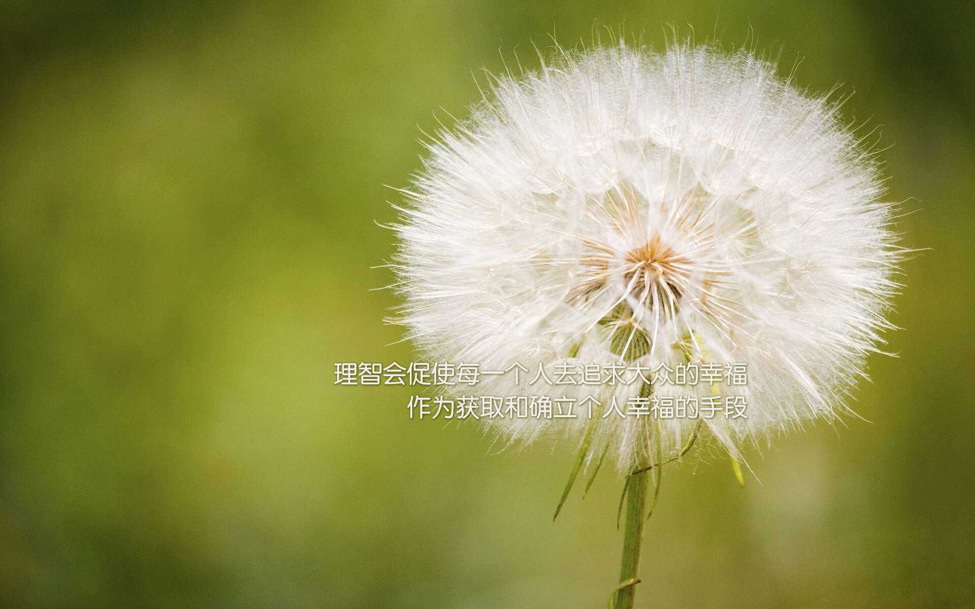 英格拉姆爆发引领鹈鹕巅峰对决,力克深圳队显王者风范