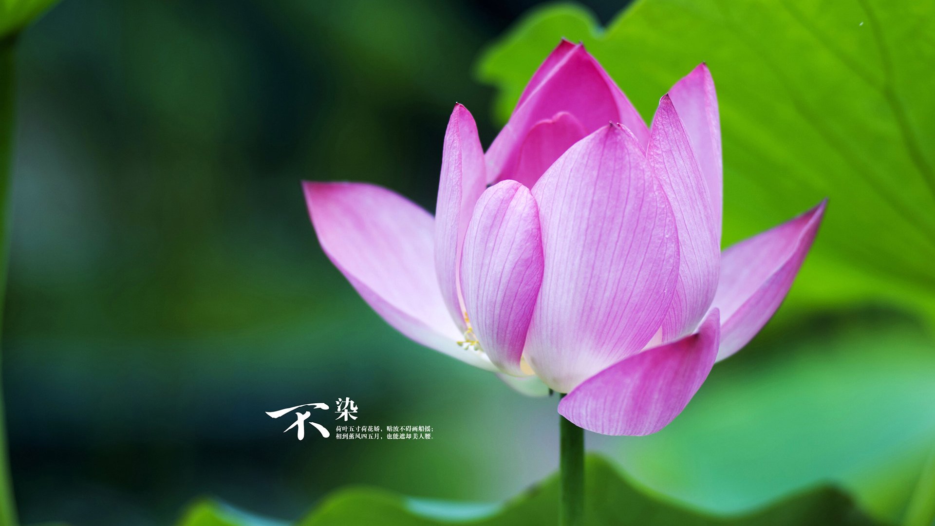 冰城铁骑踏碎血色残阳,杰伦·格林满分风暴引领吉林下克上史诗