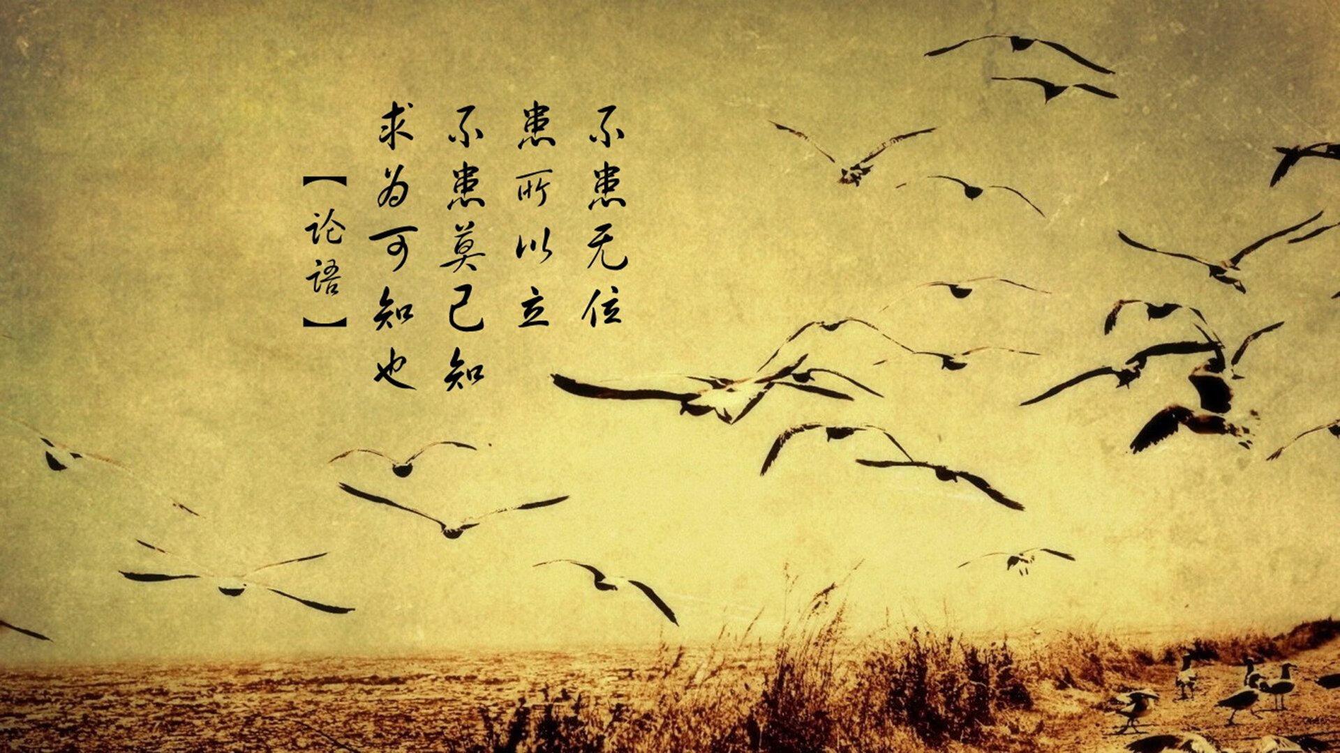 戈麦斯,当越大舞台照进越强灵魂,勒沃库森以德式精度制霸东瀛