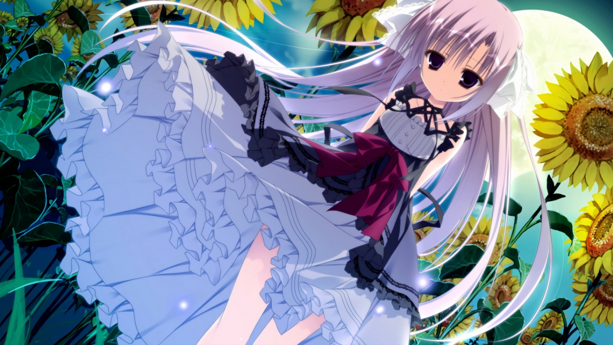 街道弯道与绿茵闪电,当极速成为共同的信仰