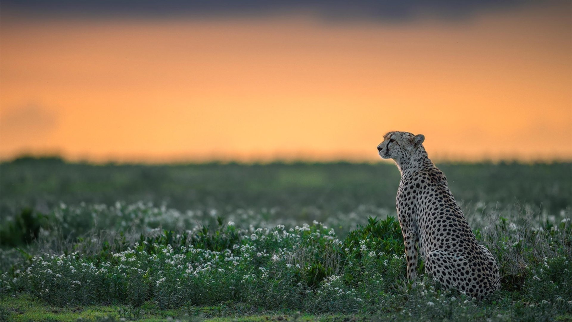 黄喜灿状态炙手可热，尤文图斯与国际米兰国家德比前瞻
