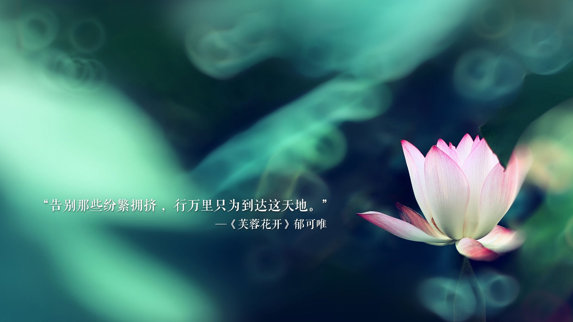 马丁内利一锤定音，马里加冕冠军力克加纳