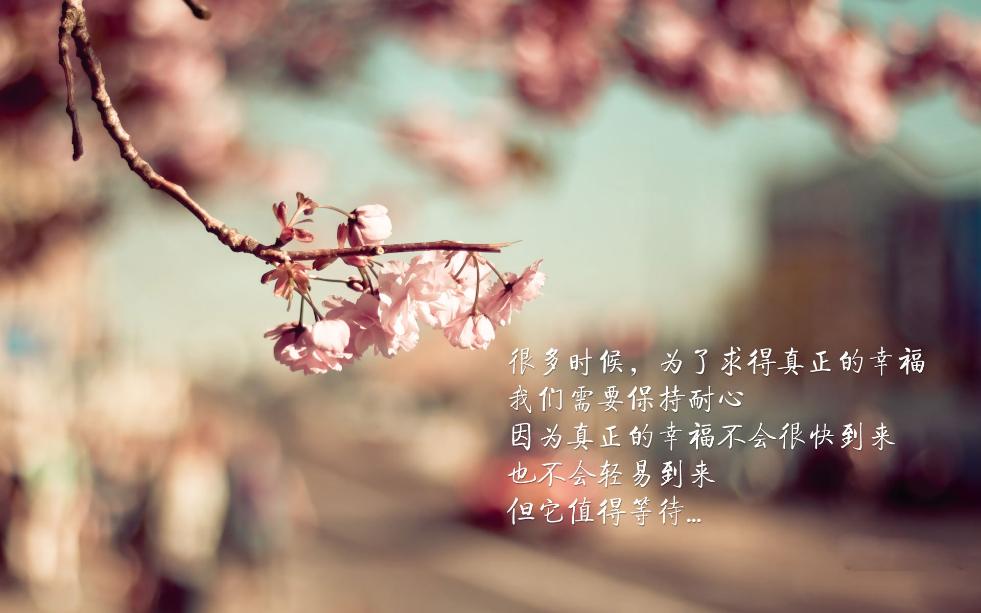 窒息攻防演绎王者归来，西班牙3-0碾压秘鲁，努涅斯带队锁定B组头名