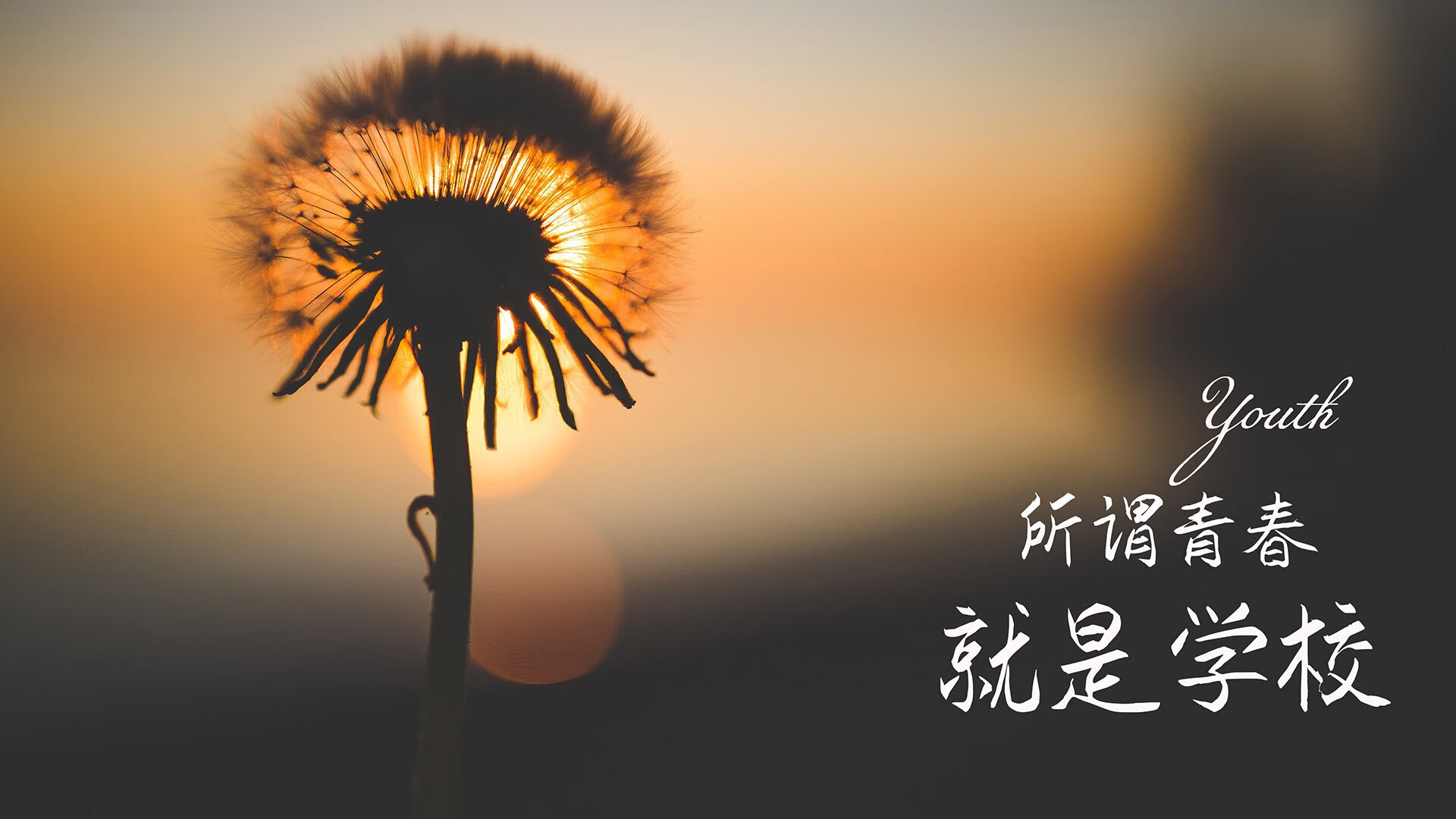 防守反击奏效，拉什福德致命一击！秘鲁碾压加拿大，2026世界杯B组上演经典战术对决