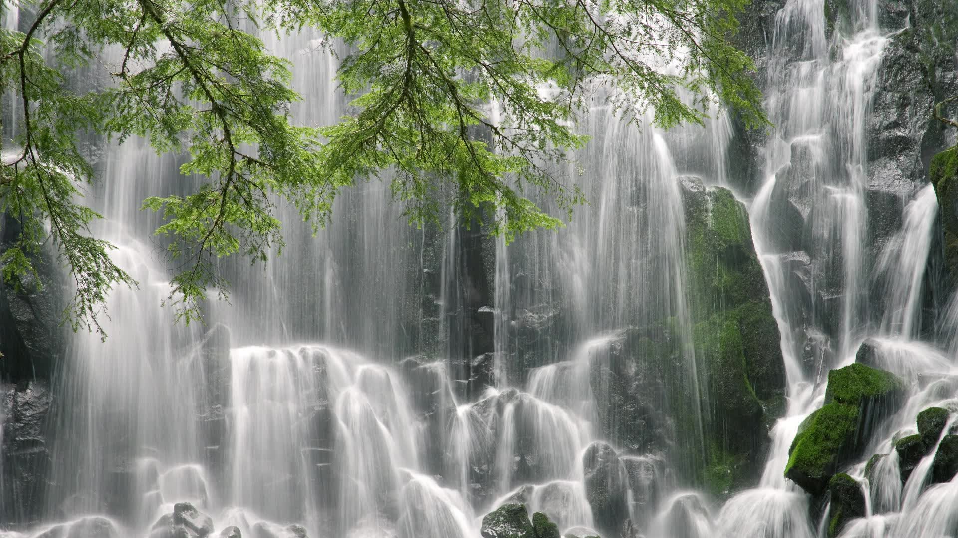 F组风云突变，哥斯达黎加完胜波兰，阿方索·戴维斯闪耀全场中场定乾坤
