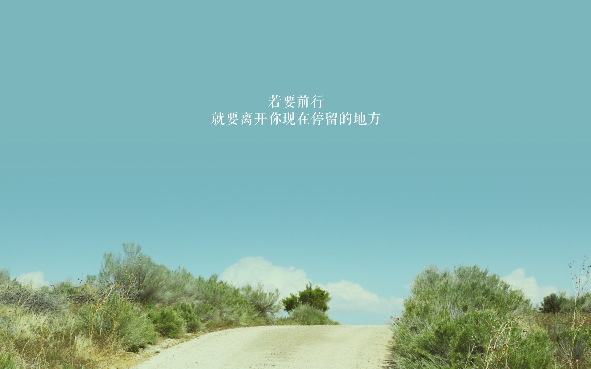 黑白直播体育-黑马之战风云突变，德意志战车碾压喀麦隆，阿诺德率队锁定2026世界杯八强席位